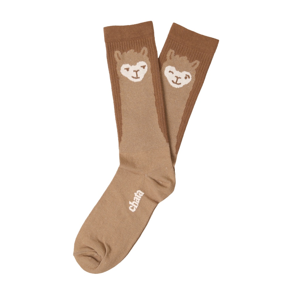 X Medias Marrón (Chata)